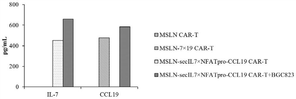 Expression vector for co-expressing secretory IL-7 and selective CCL19 and application of expression vector