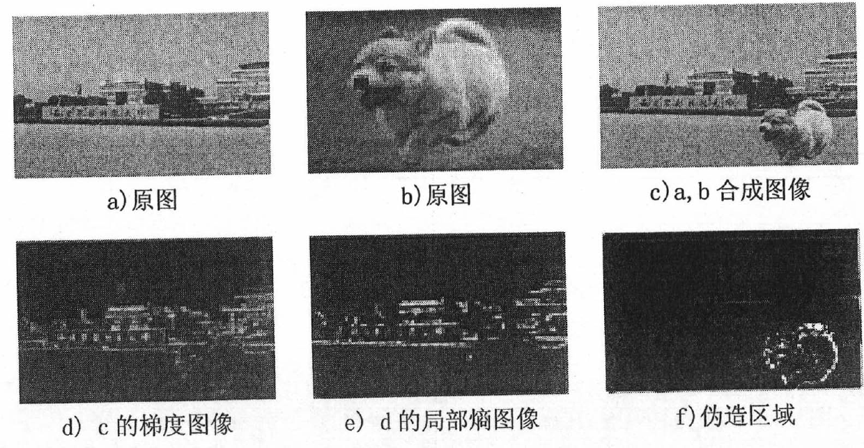 Method for detecting content reliability of digital picture by utilizing gradient local entropy