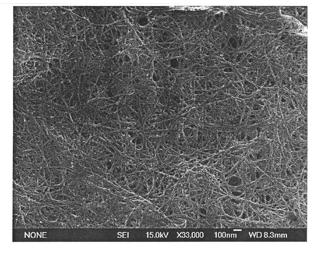 Method of preparing single-wall carbon nanotube loaded with noble metal nanoparticle