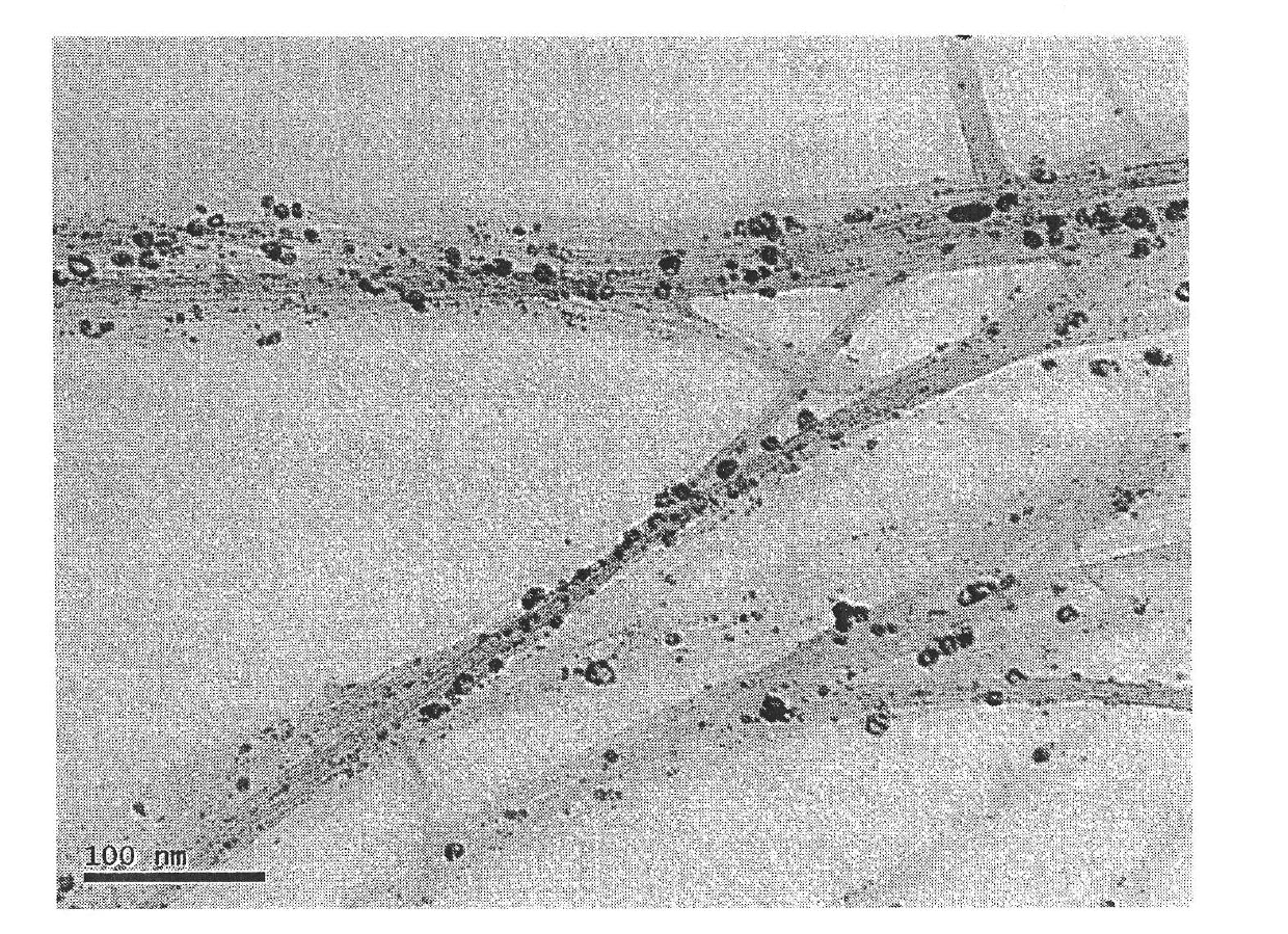 Method of preparing single-wall carbon nanotube loaded with noble metal nanoparticle