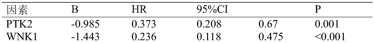 Kit for assessing the risk of colorectal cancer recurrence after oxaliplatin chemotherapy and its use