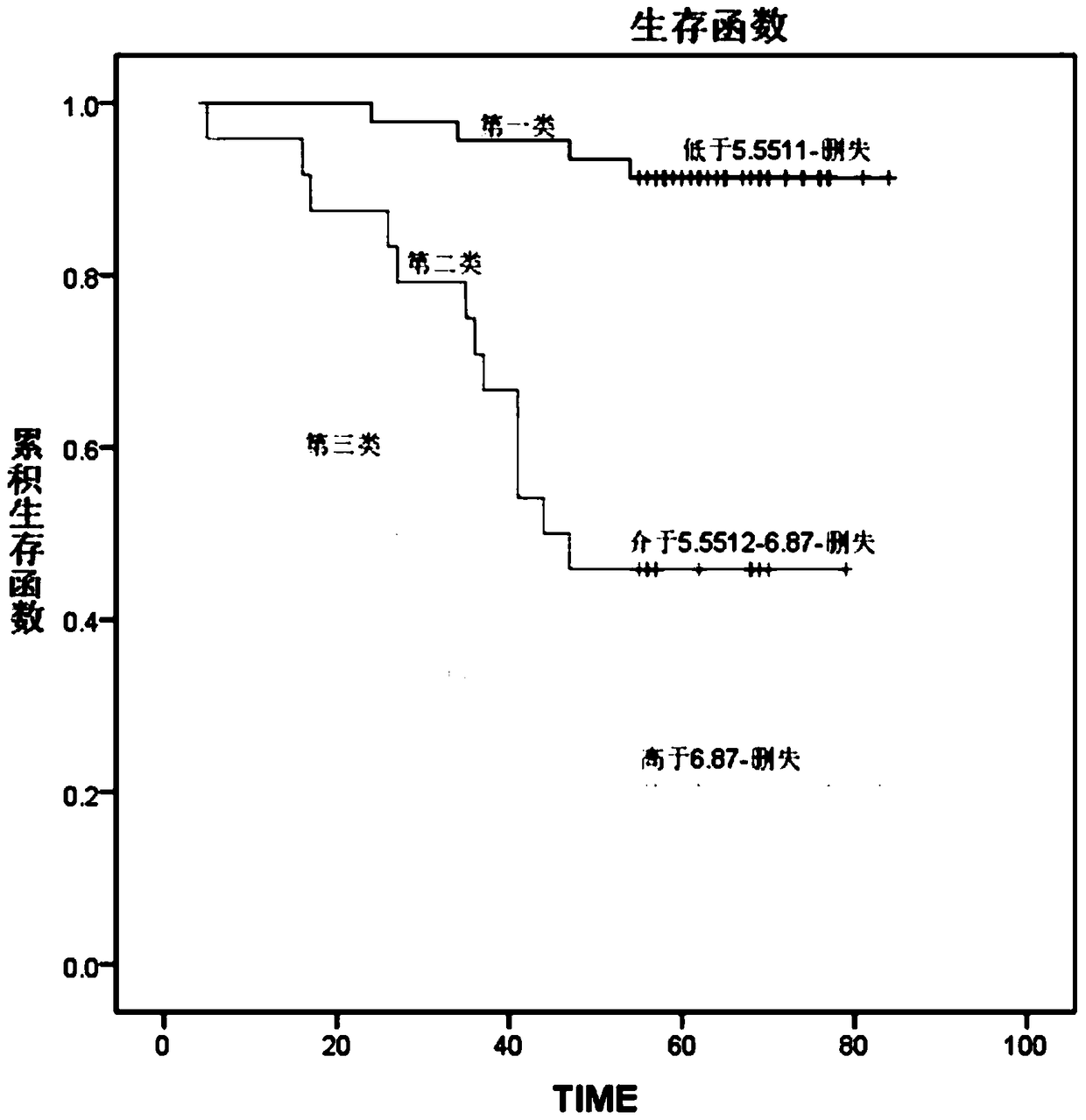 Kit for assessing the risk of colorectal cancer recurrence after oxaliplatin chemotherapy and its use