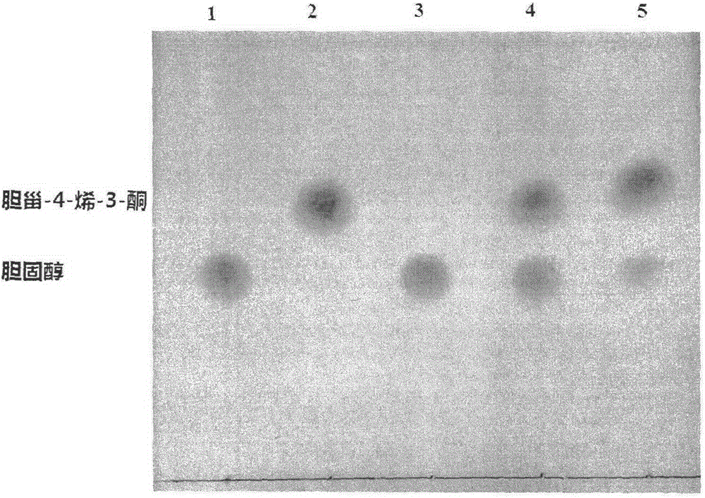 A method for converting cholesterol into cholest-4-en-3-one by using whole cells of recombinant bacillus subtilis