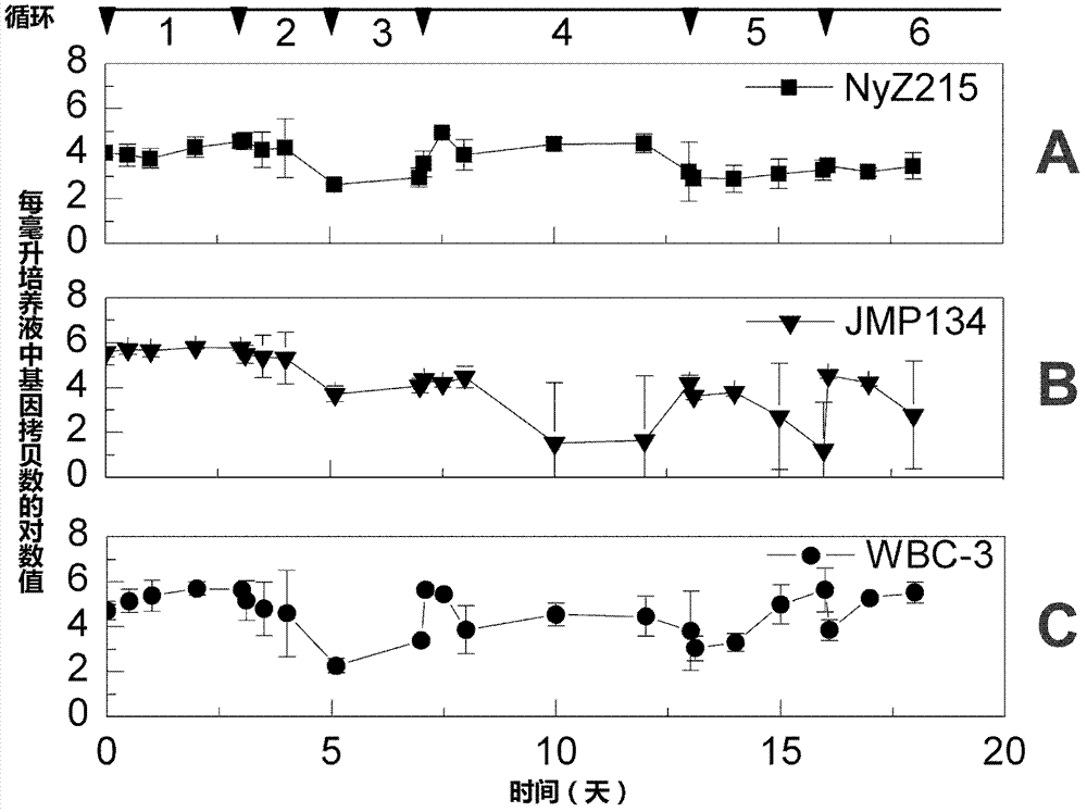 In-situ microorganism restoring method for nitrophenol isomeride polluted environment and application