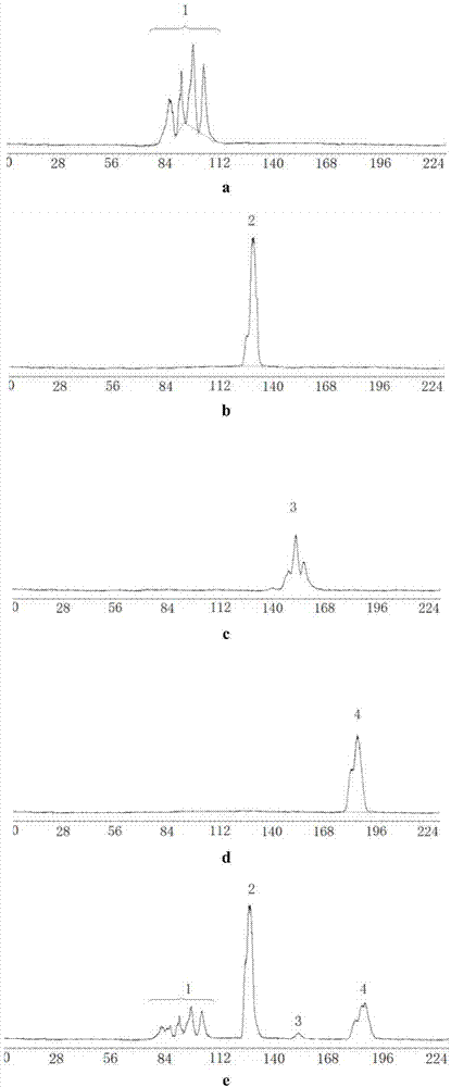 Gel filtration chromatographic analysis method for alkyl glucoside surfactant product components