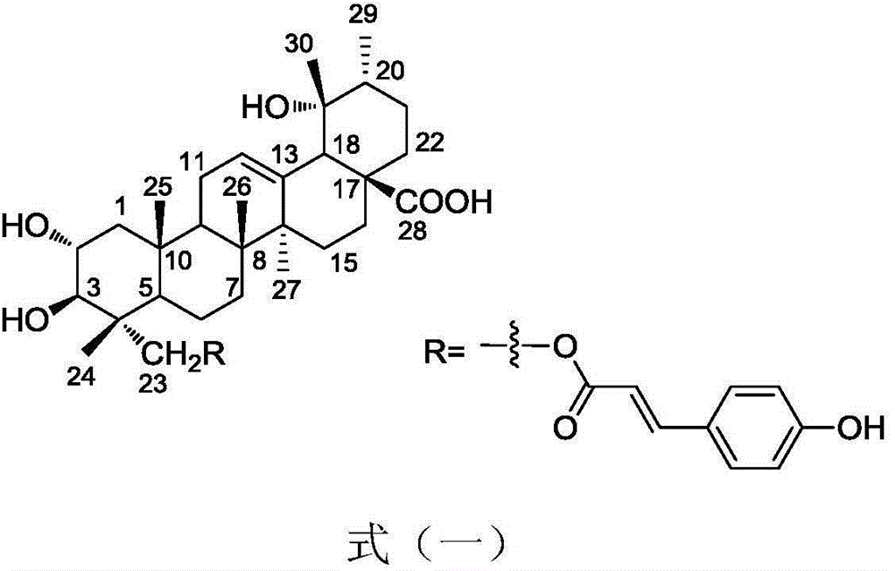 Application of 23-trans-para-coumaroyl tormentic acid compound