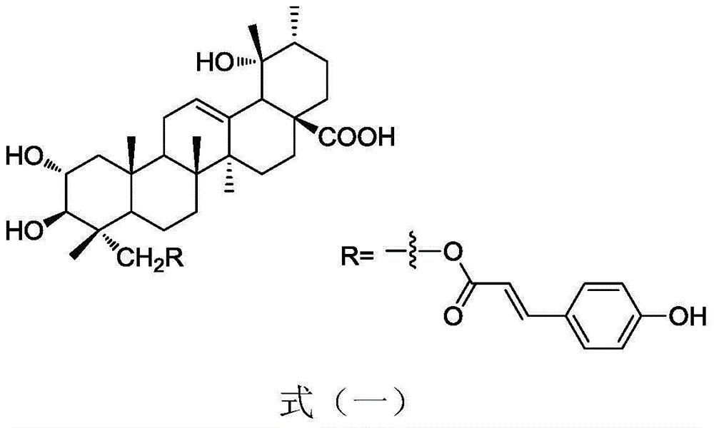 Application of 23-trans-para-coumaroyl tormentic acid compound