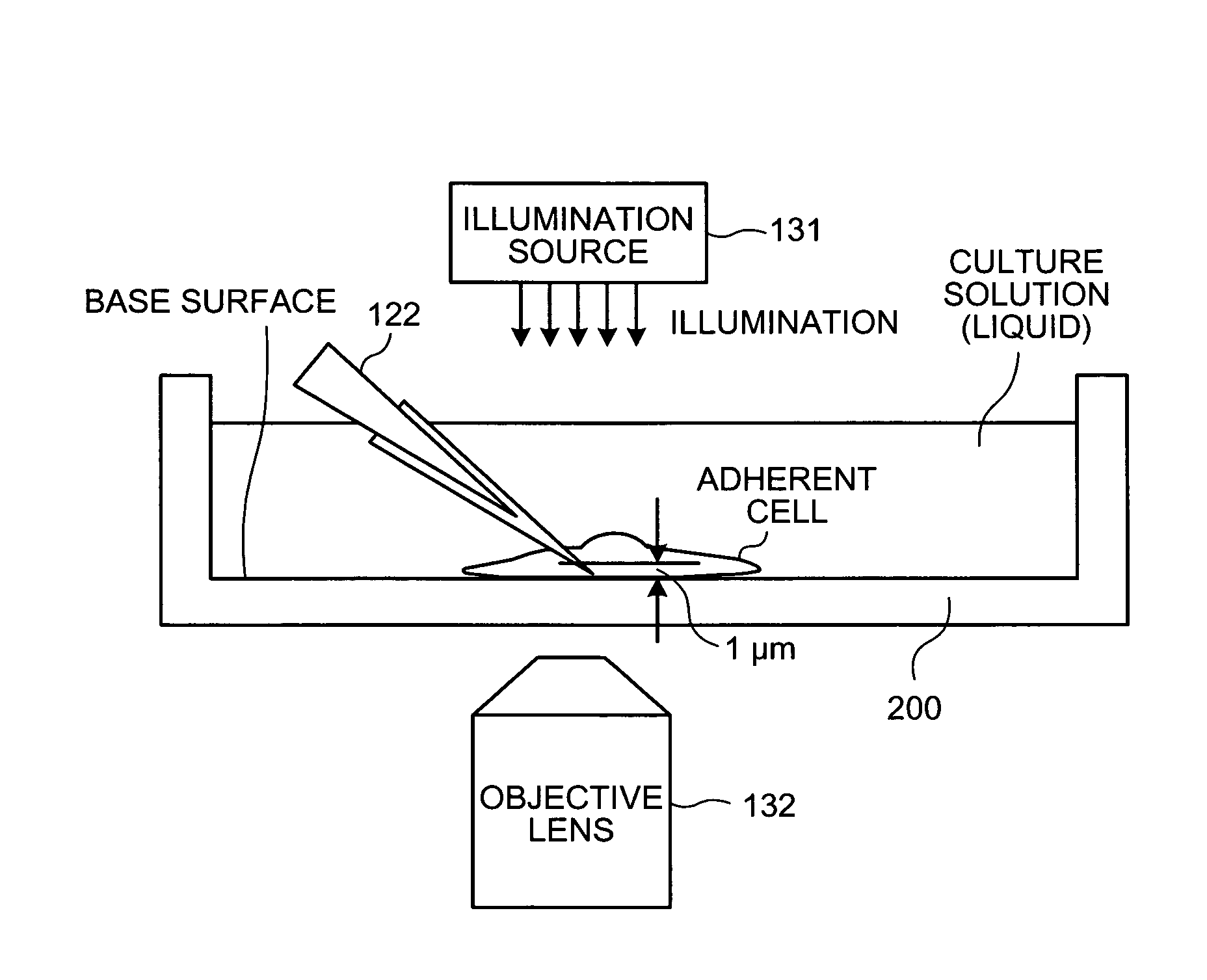 Microinjection apparatus and microinjection method