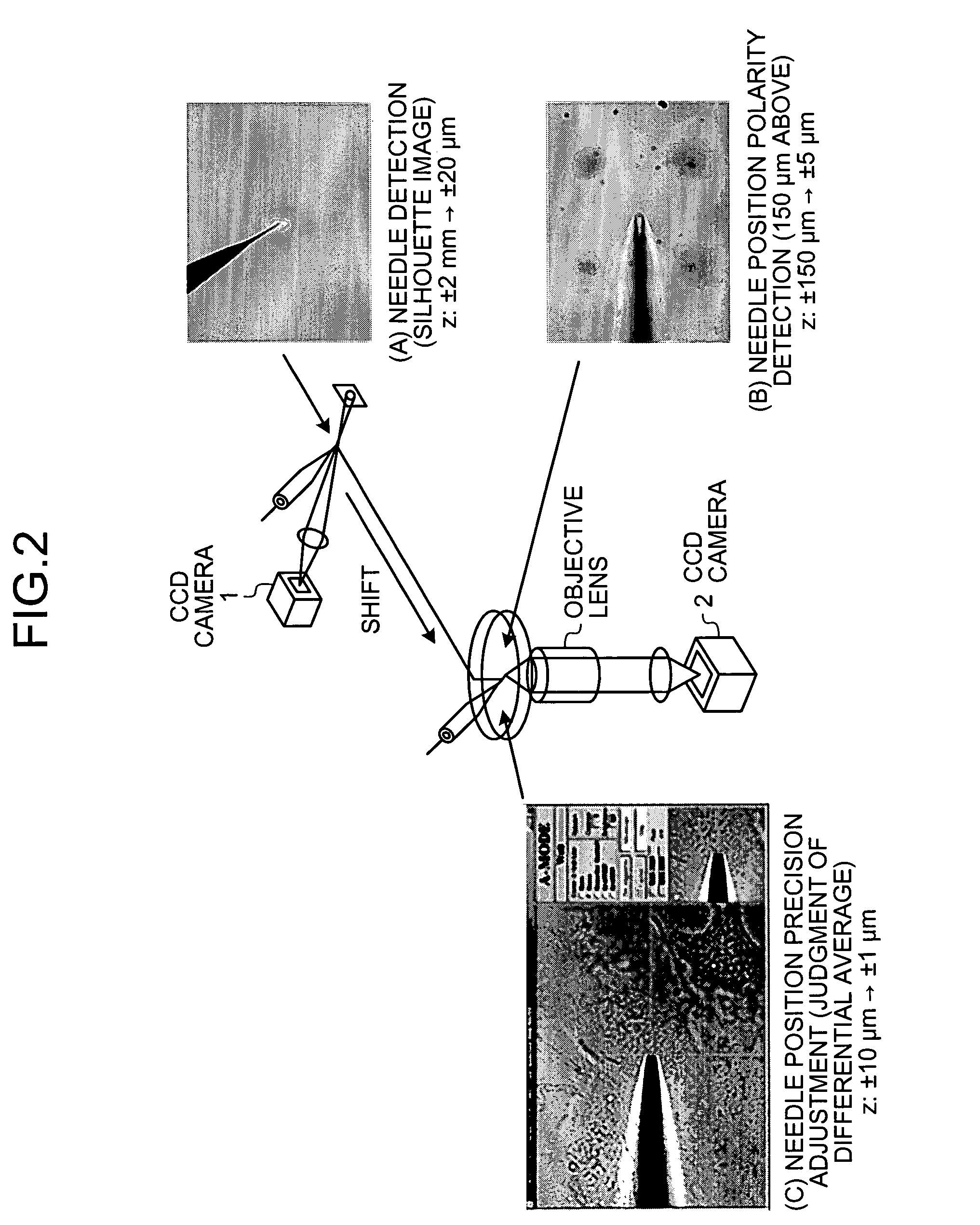 Microinjection apparatus and microinjection method