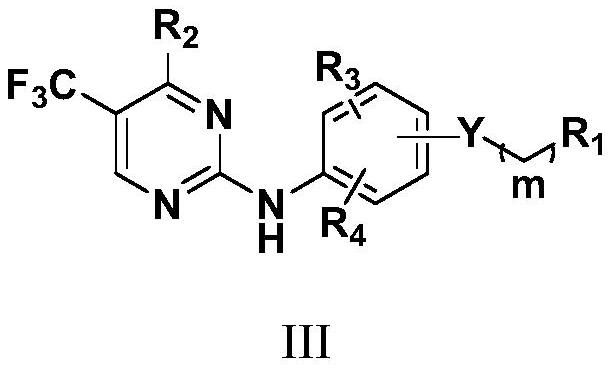 N2-substituted alkoxy aromatic cyclo-2-aminopyrimidine derivative and application thereof