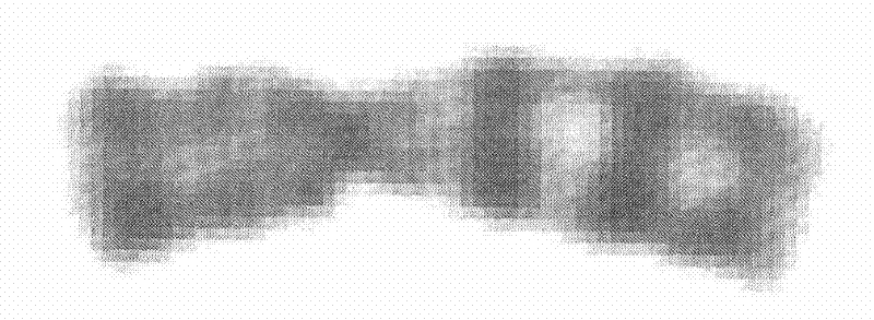 Chromosome image processing method and system