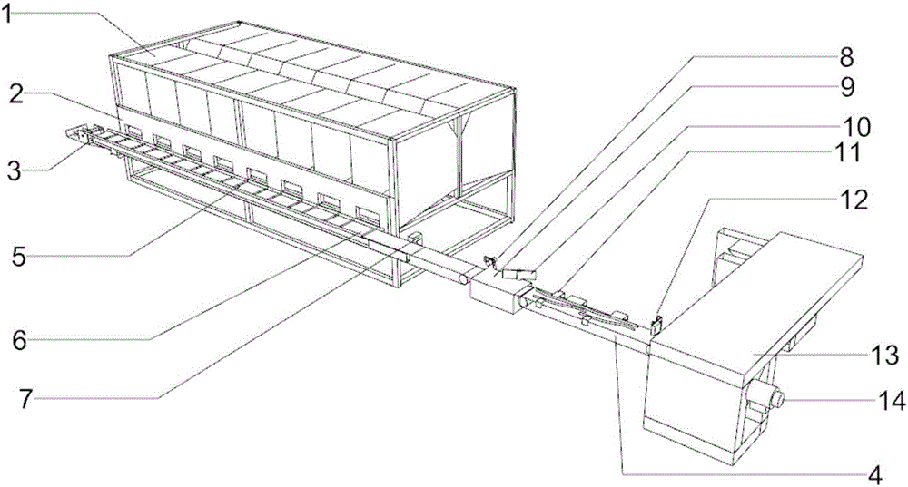 Individual egg weighing and labeling device based on conveyor belts