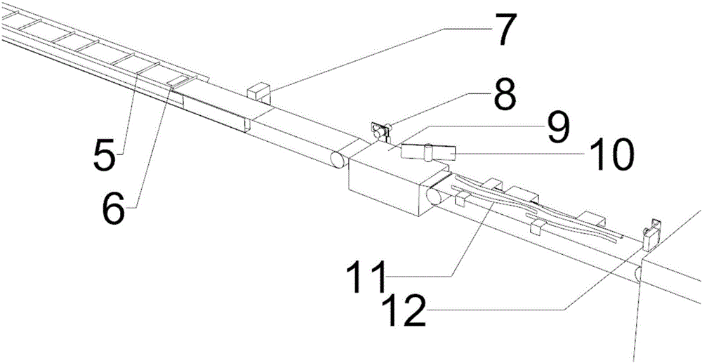 Individual egg weighing and labeling device based on conveyor belts