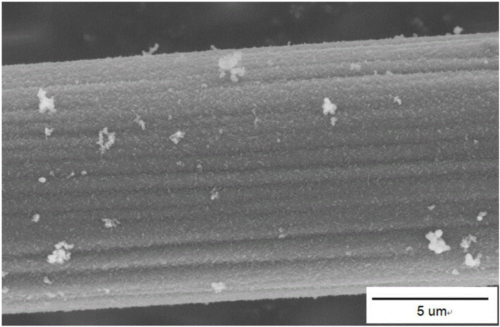 Carbon fiber with Sibcn gradient coating deposited on the surface and preparation method thereof