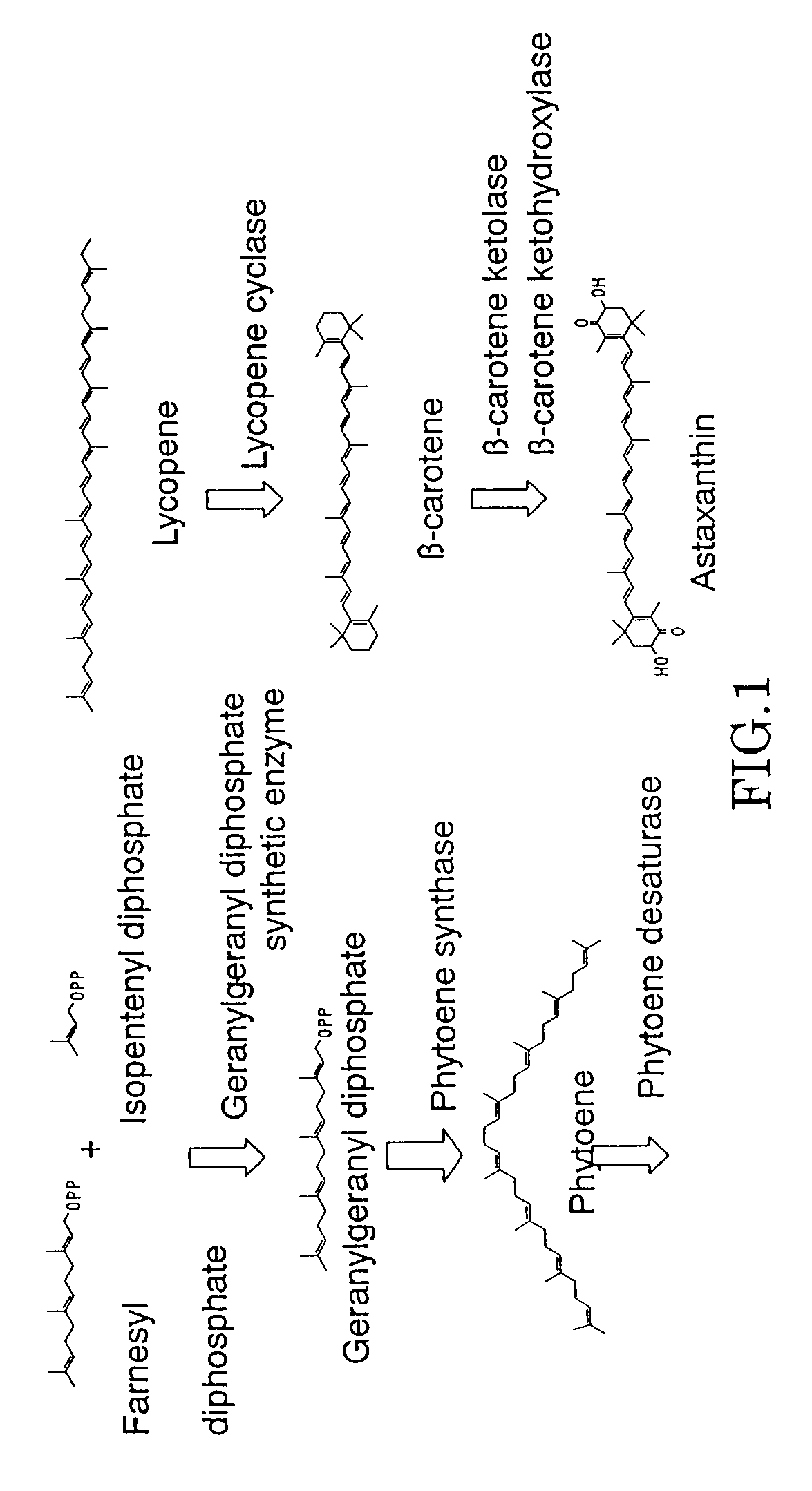 Method for production of carotenoid-synthesizing microorganism and method for production of carotenoid