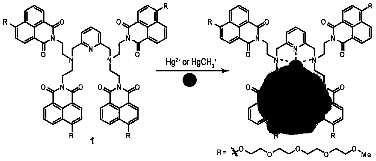 Fluorescent probe for detecting total mercury and preparation method, kit and detection method thereof