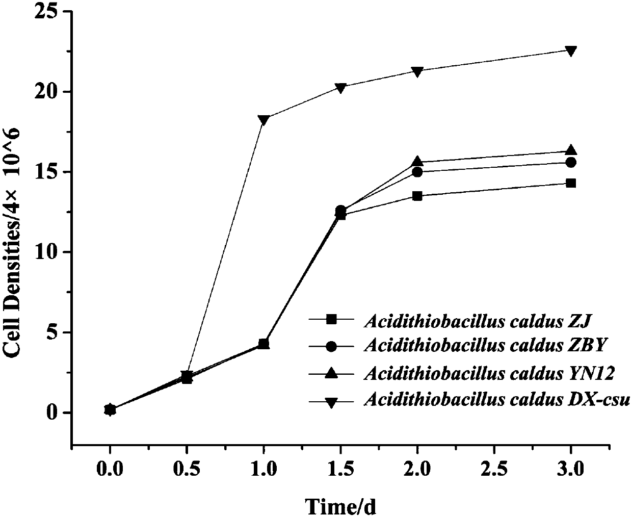 Strain of Acidithiobacillus caldus and culture medium and culture method thereof