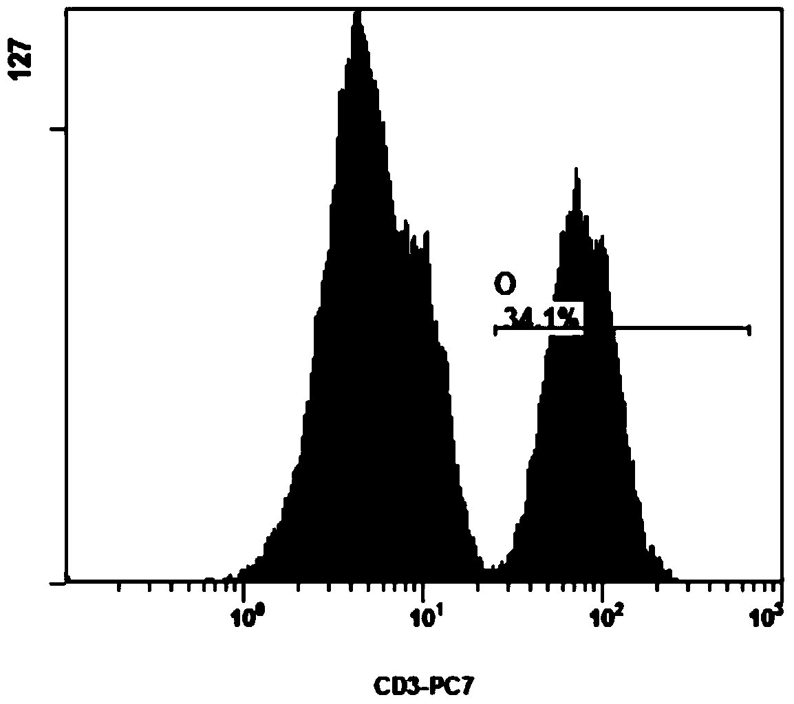 An immunomagnetic bead for sorting human cells, its preparation and excision method