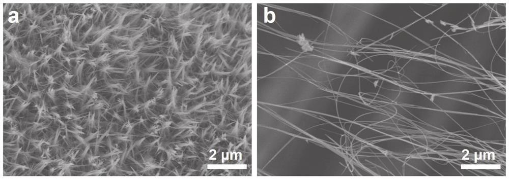 Manganese dioxide super-long nanowire catalyst with oxygen vacancies as well as preparation method and application of manganese dioxide super-long nanowire catalyst