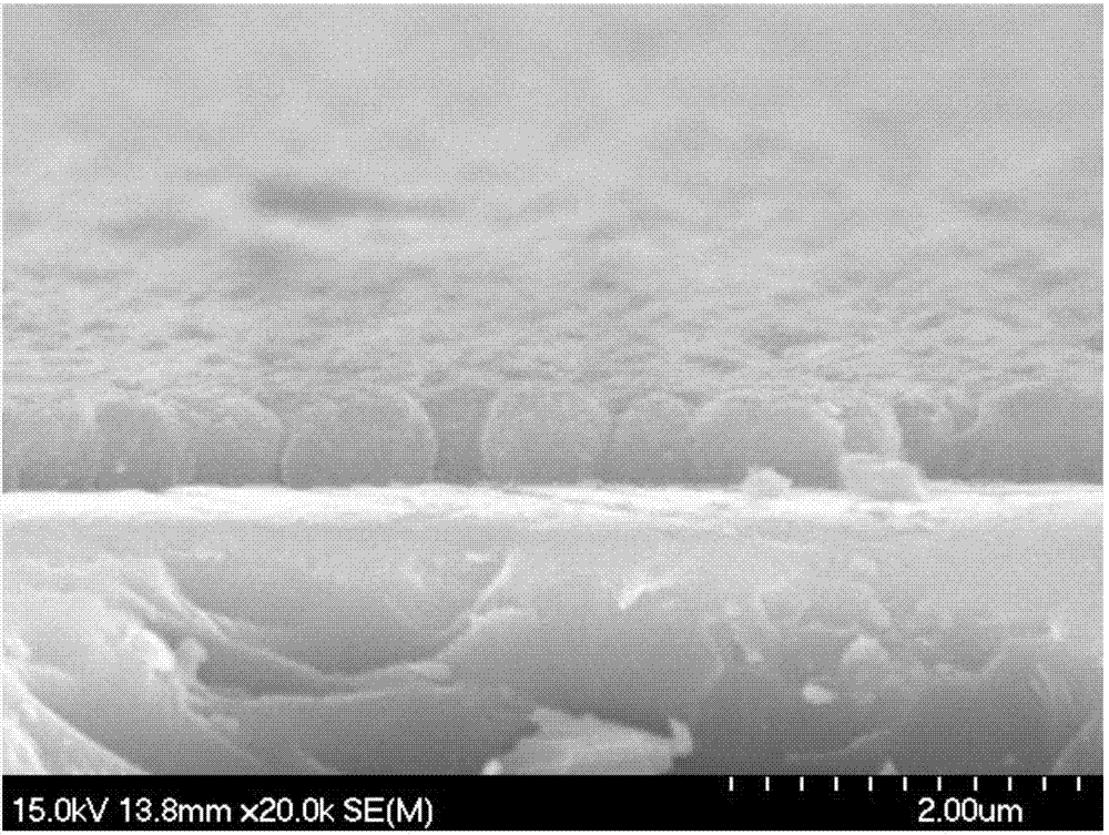 Single particle layer nano-diamond film and preparation method thereof