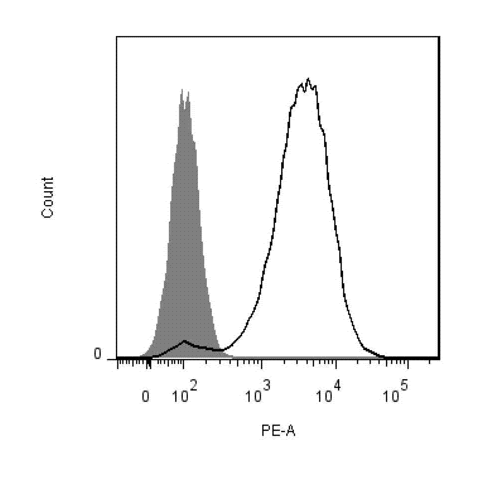 Humanized monoclonal antibody for resisting DEC-205 molecules on surface of dendritic cells