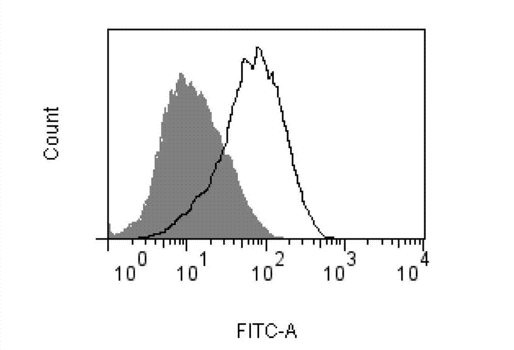 Humanized monoclonal antibody for resisting DEC-205 molecules on surface of dendritic cells