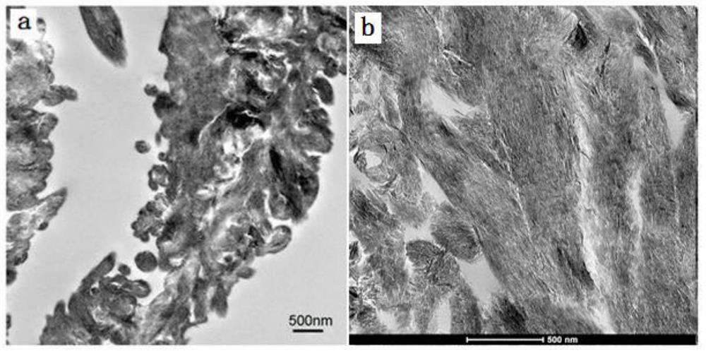 Biomimetic mineralization material in a polyanion modified fiber, preparation method and application