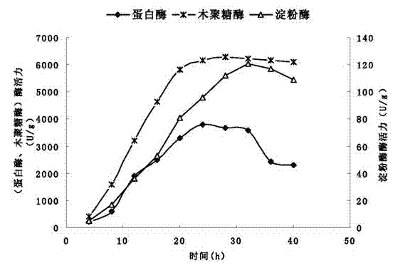 Strain capable of producing compound enzyme and method of using same to prepare compound enzyme for weaned piglets