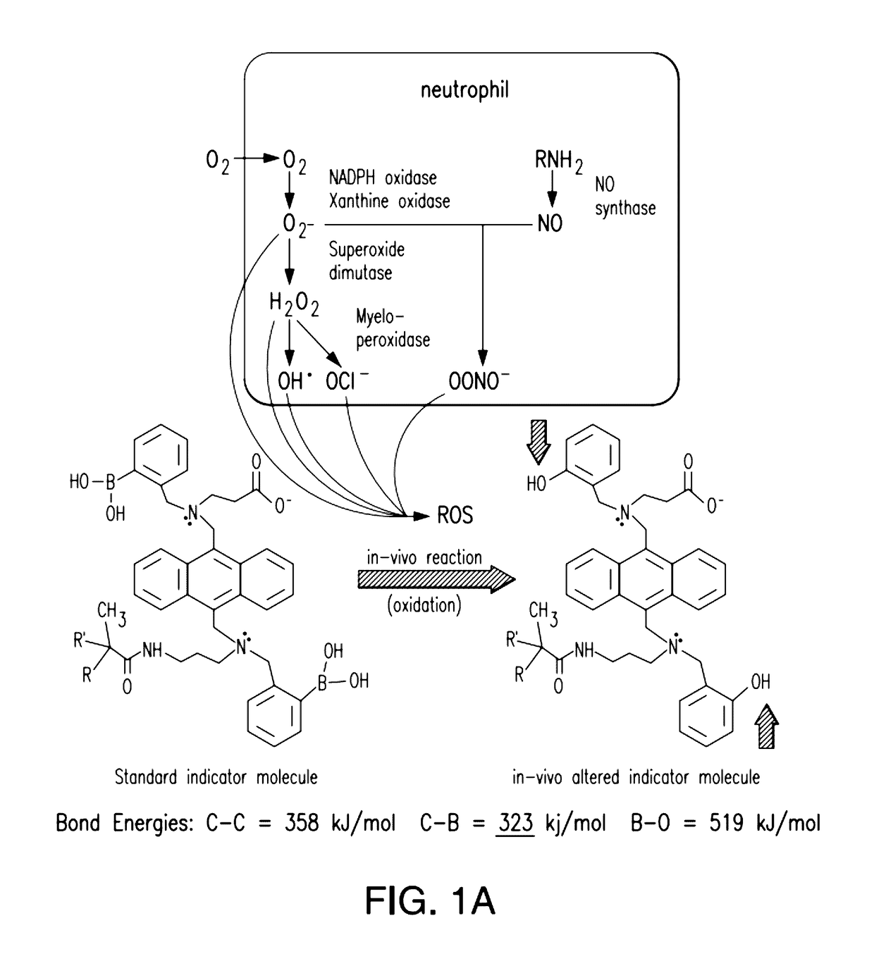 Integrated catalytic protection of oxidation sensitive materials