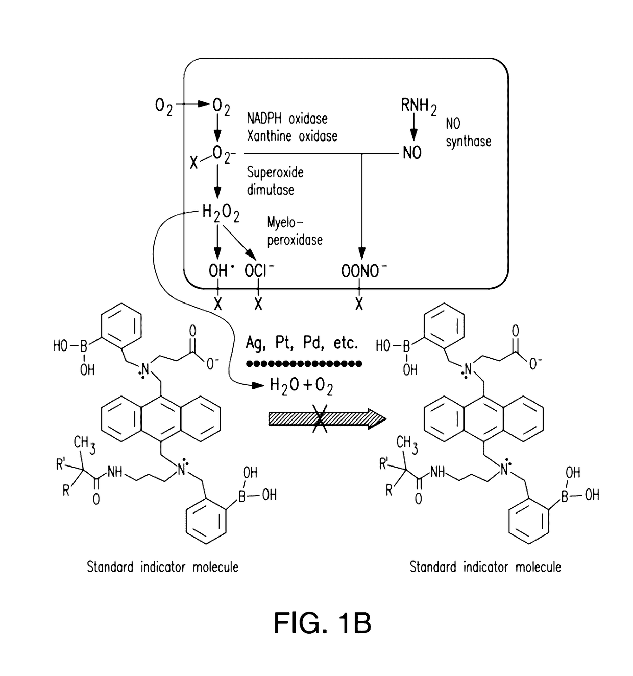 Integrated catalytic protection of oxidation sensitive materials