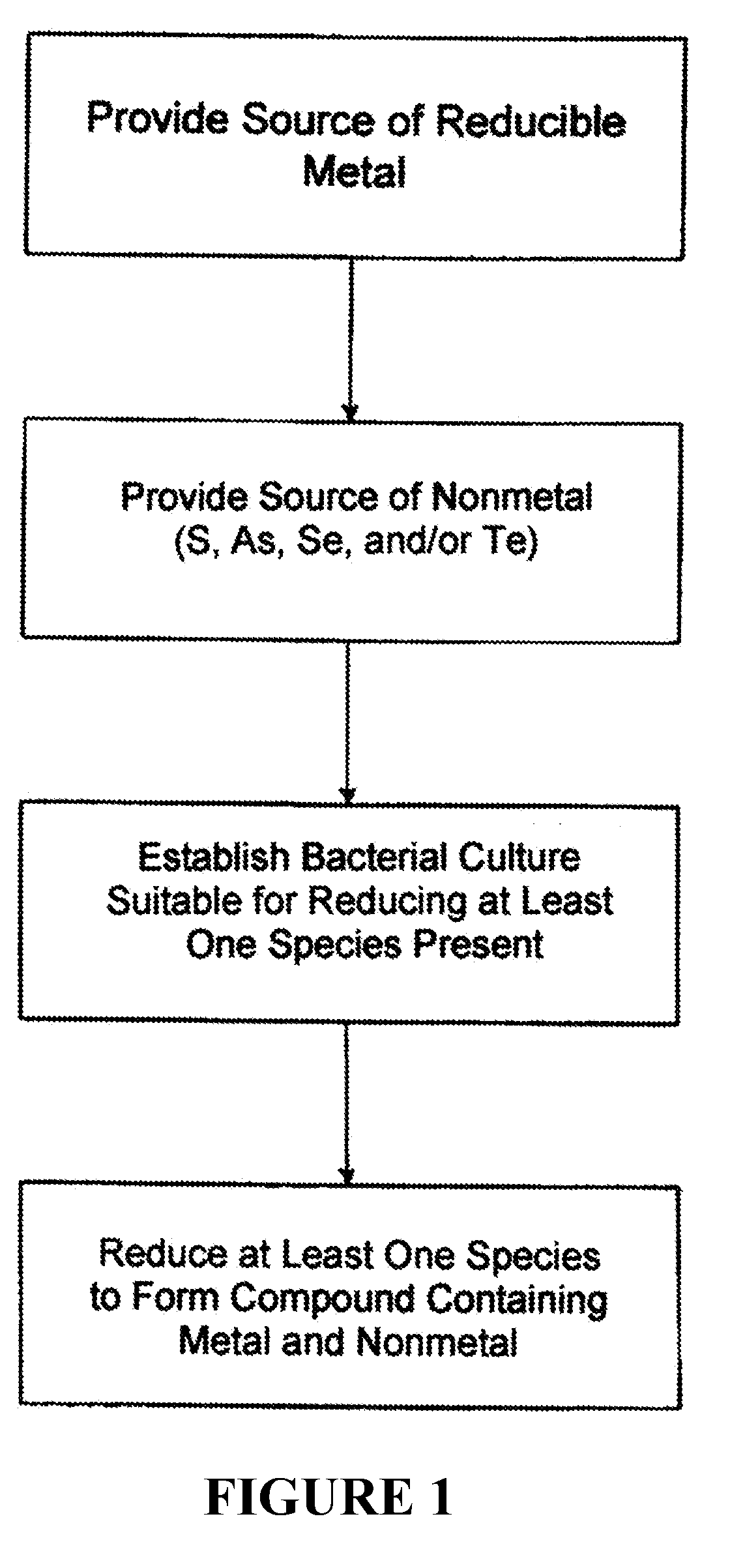 Microbially-mediated method for synthesis of non-oxide semiconductor nanoparticles