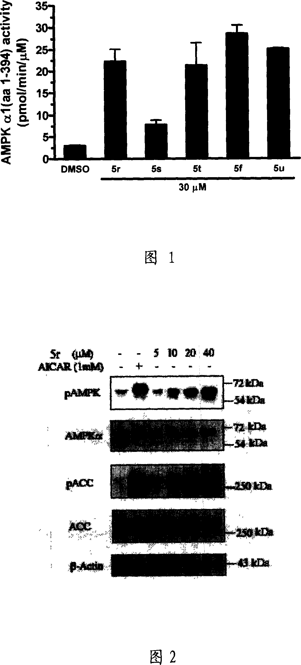 Compound, and its preparing method and use