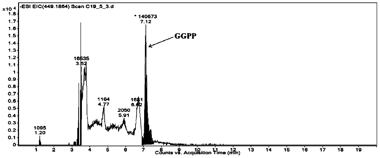 A method for rapid extraction and detection of geranylgeranyl pyrophosphate in plant tissues