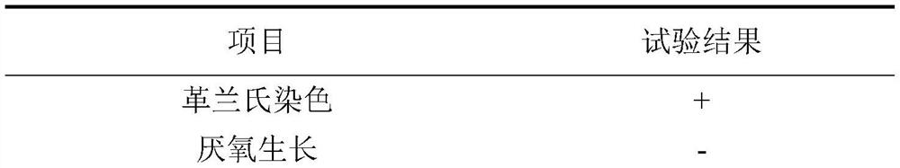 Bacillus isothermal layer GDUTAN16 for degrading dimethyl disulfide and application of bacillus isothermal layer GDUTAN16