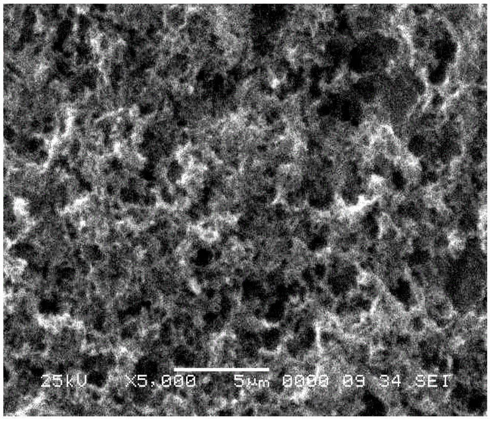 Preparation method of pyrrole-o-toluidine copolymer with porous structure