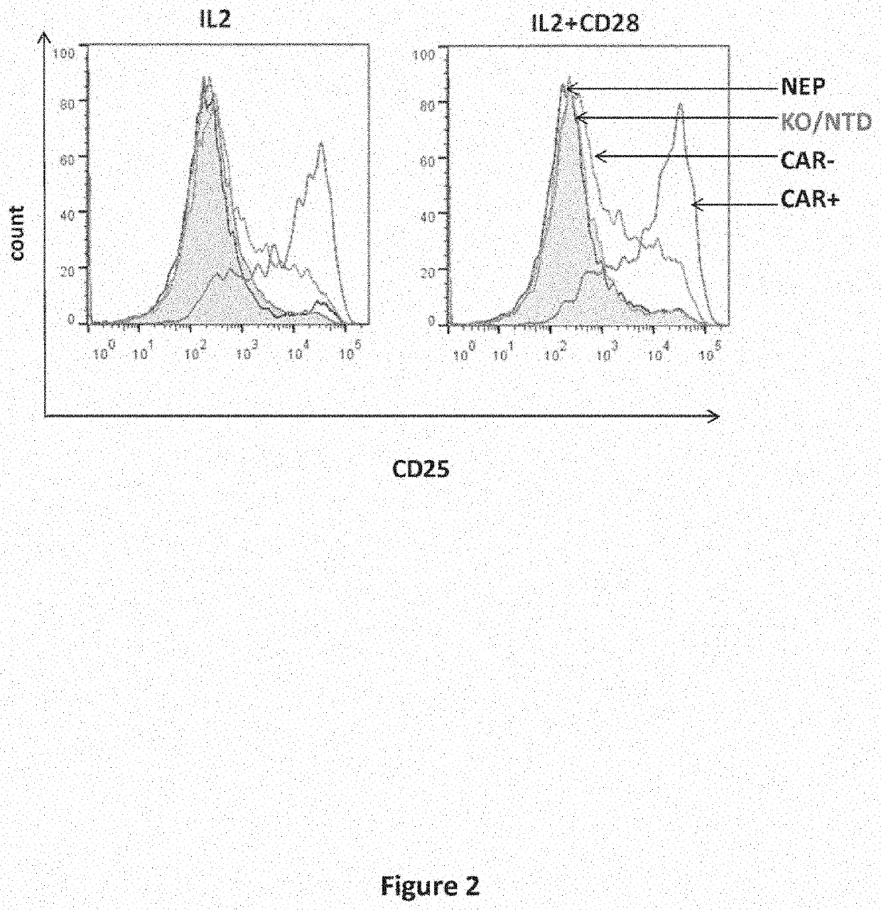 Cd19 specific chimeric antigen receptor and uses thereof
