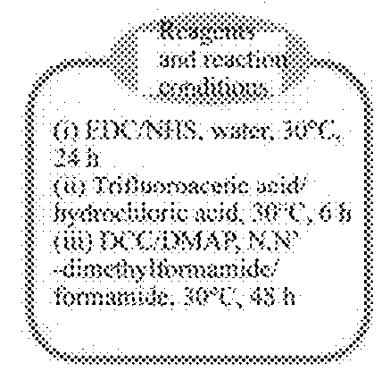 Hyaluronic Acid-Based Amphiphilic Polymer, Preparation Method and Application Thereof