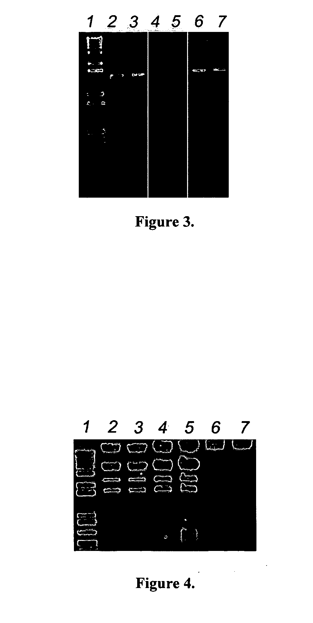 Purification methods and uses thereof