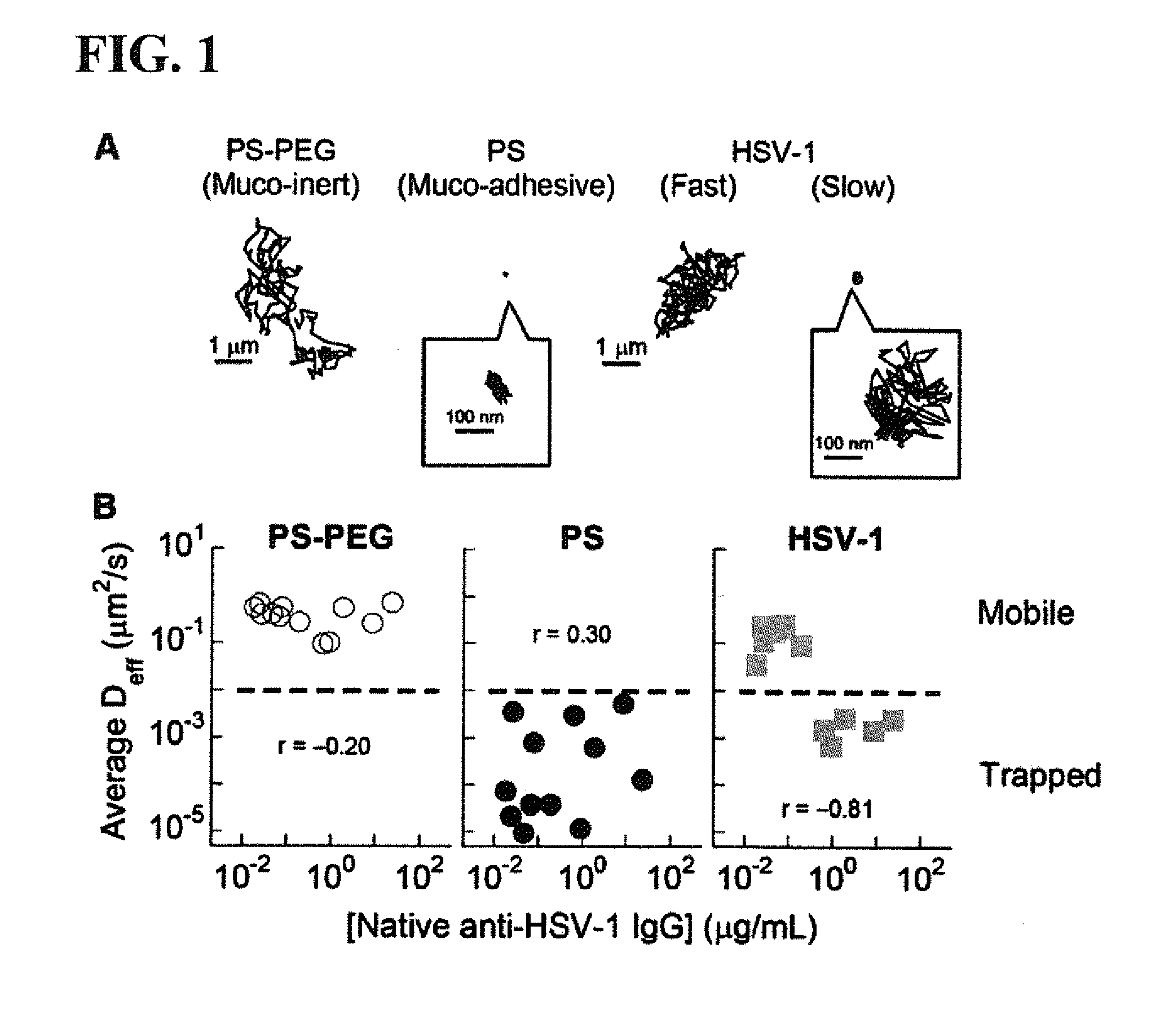 Compositions and methods for inhibiting pathogen infection