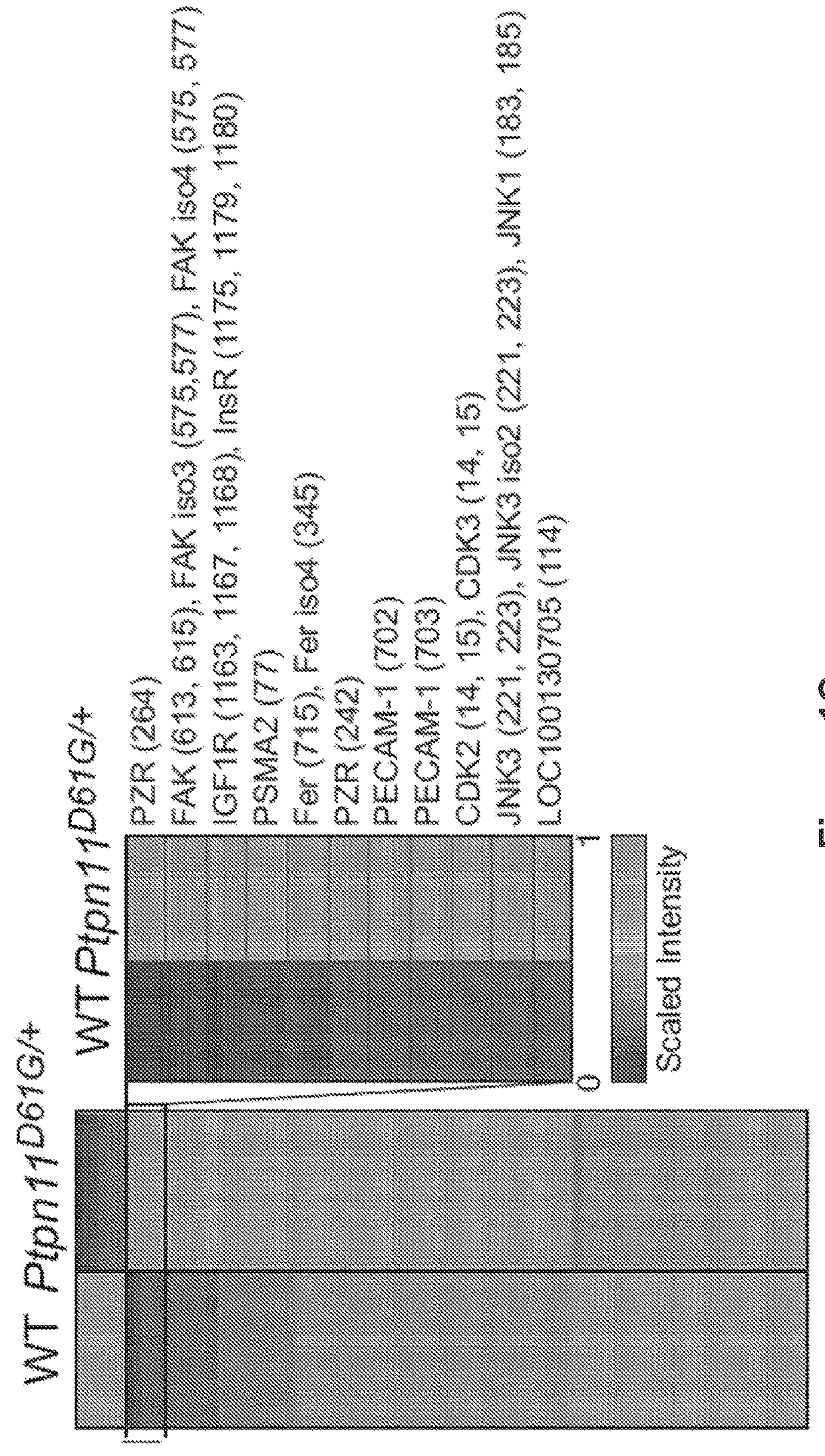 Compositions and methods of using tyrosine kinase inhibitors