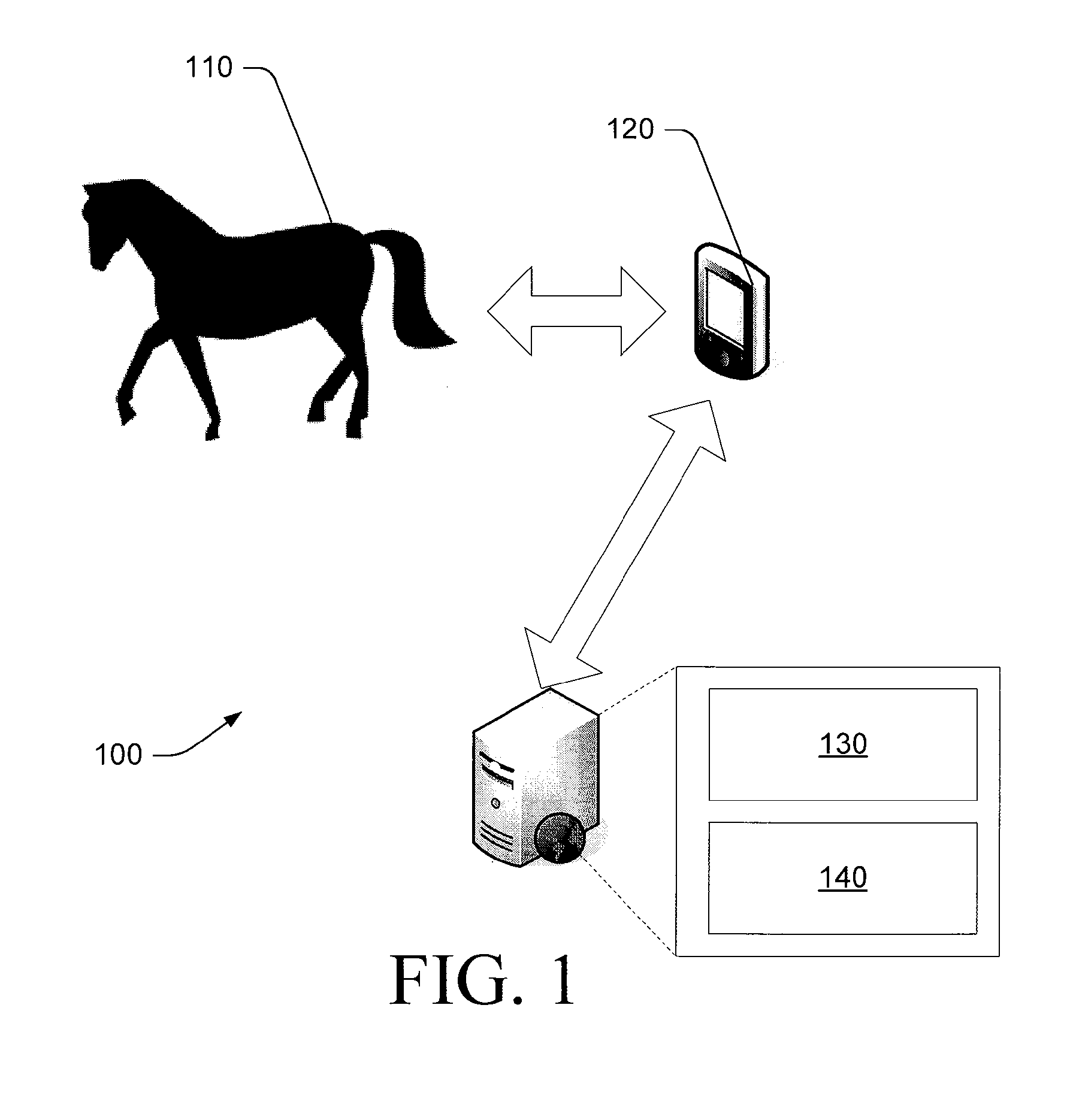 Method and apparatus for physiological assessment in mammals
