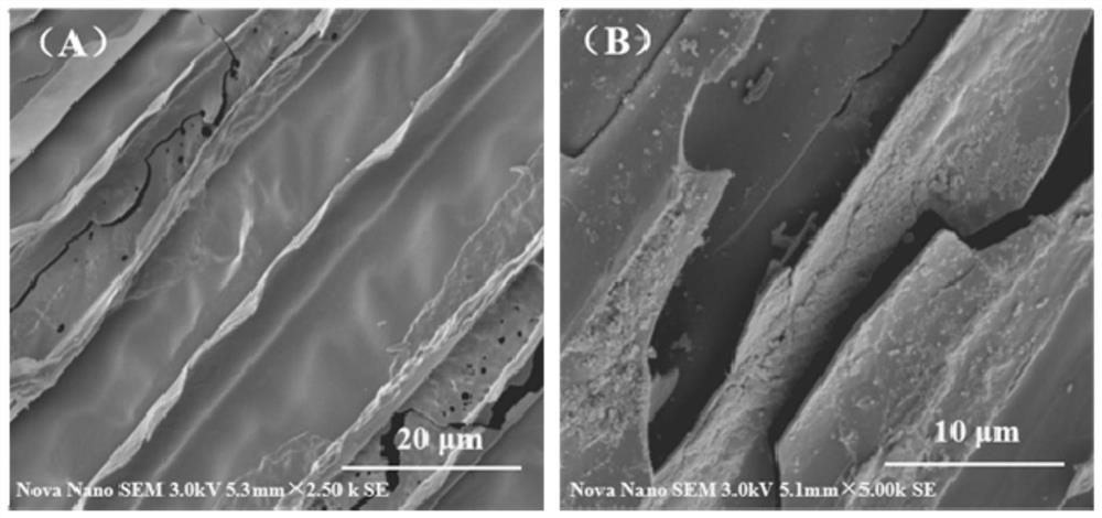Ferroferric oxide modified biochar immobilized polycyclic aromatic hydrocarbon degrading bacterial agent as well as preparation and application thereof