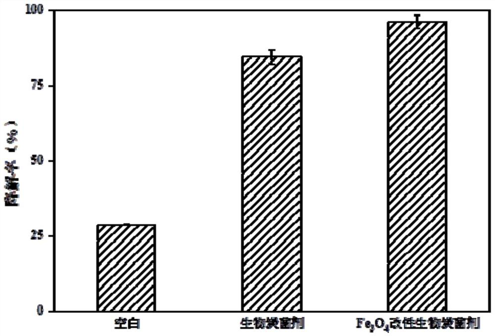 Ferroferric oxide modified biochar immobilized polycyclic aromatic hydrocarbon degrading bacterial agent as well as preparation and application thereof