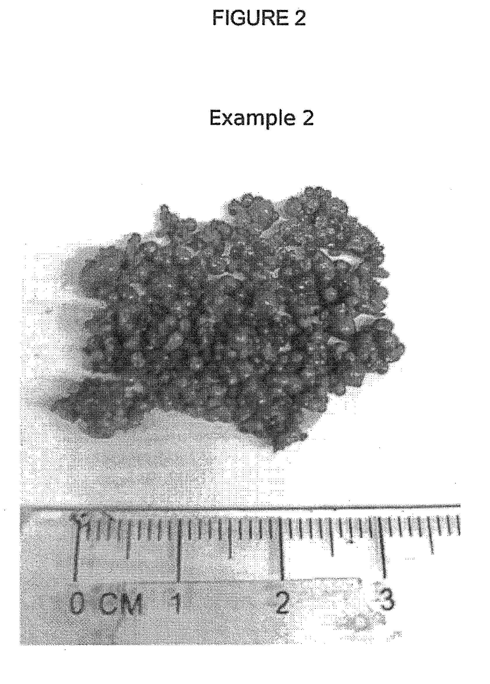 Methods for making polymer particulates in gel form