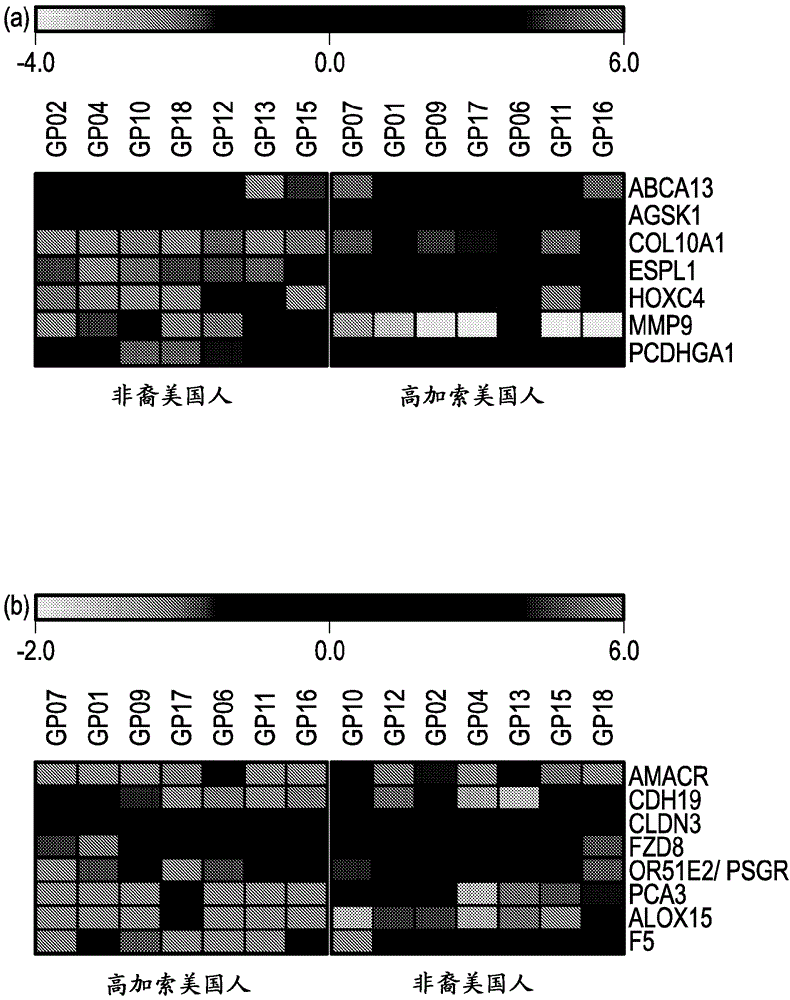 Prostate cancer gene profiles and methods of using the same