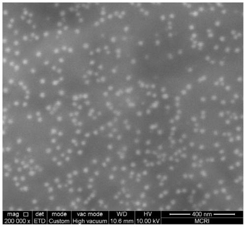 Preparation method of polydopamine film and application of polydopamine film in medical implant material