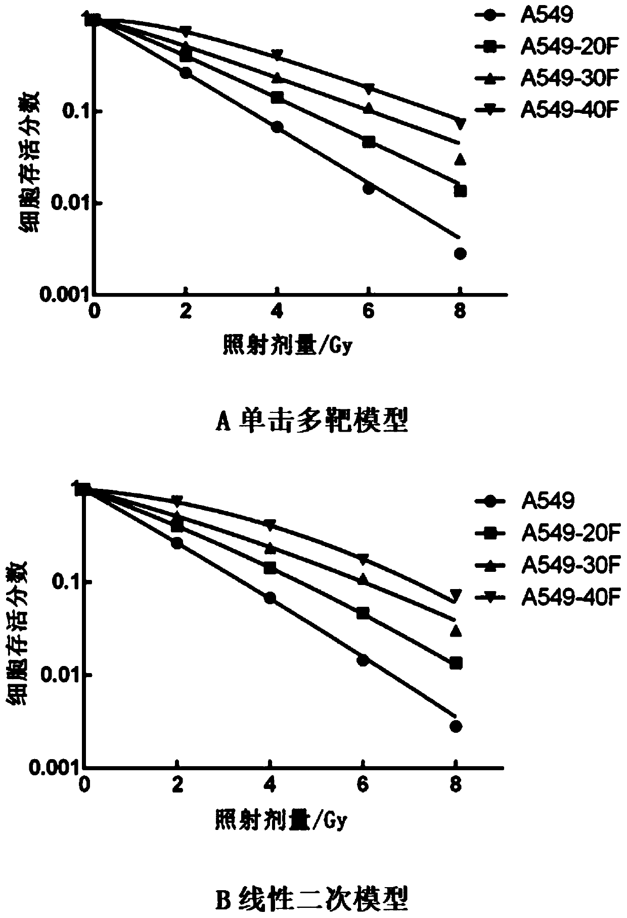 Equal-difference dose gradient radiation lung cancer surviving or resisting cell model as well as construction and application