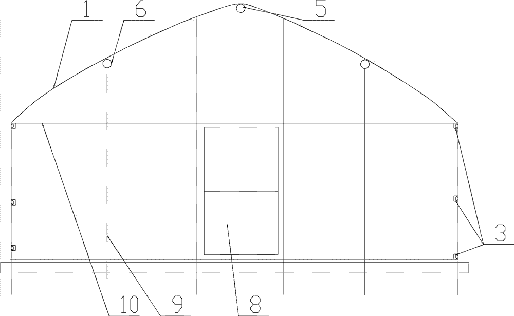 Construction of facilities for industrial breeding of A. chinensis