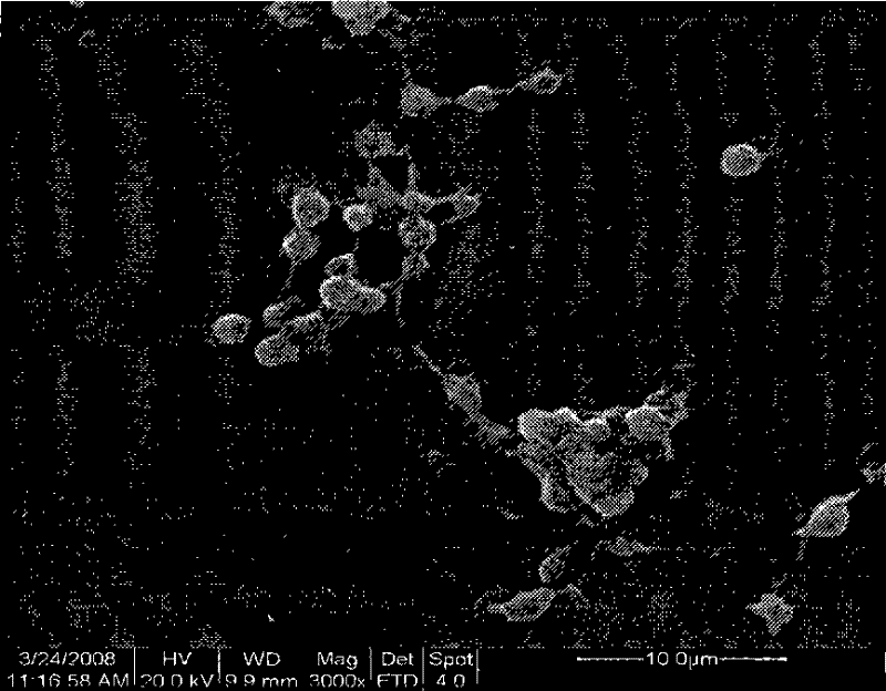 Method for fixing heparin multilayer film on the surface of titanium dioxide