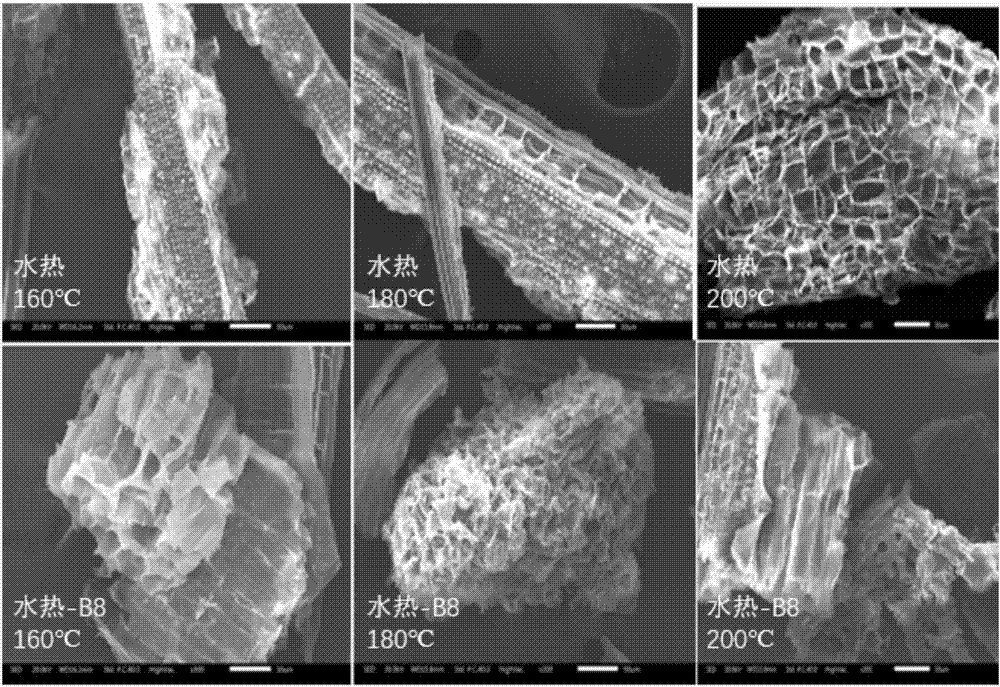 Method for enhancing waste biomass hydro-thermal pretreatment by using lignin degrading bacteria